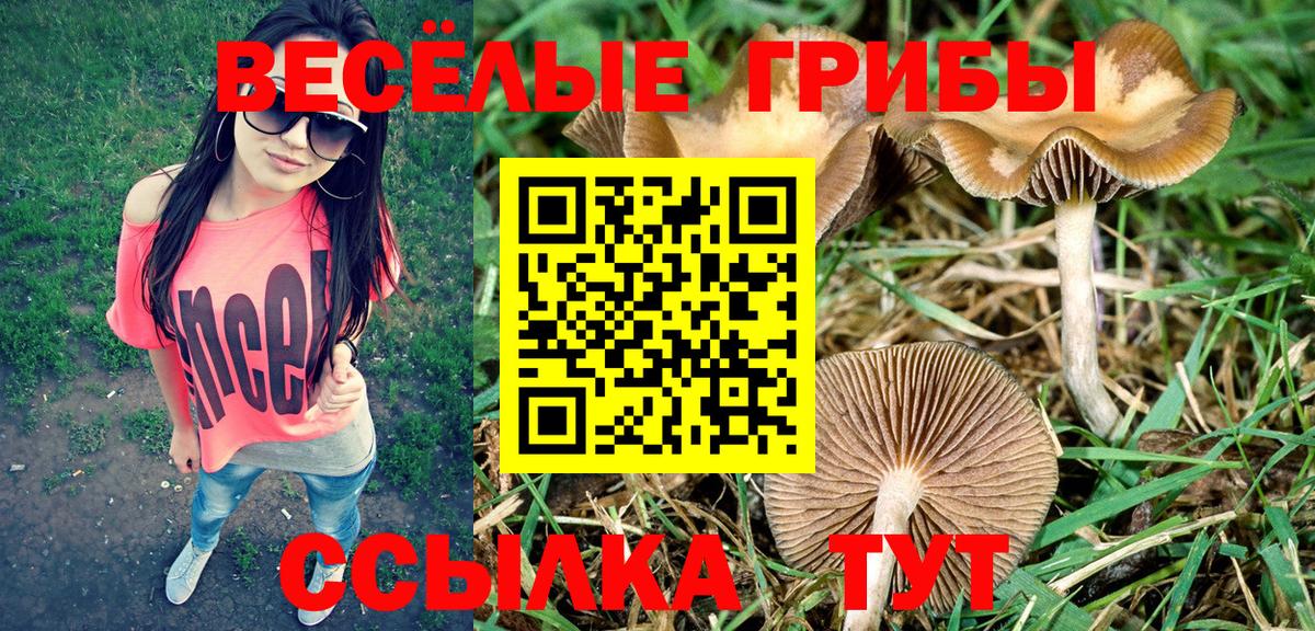 Галлюциногенные грибы Psilocybine cubensis  Псилоцибиновые грибы ЛСД  Вход с VPN  Темрюк 